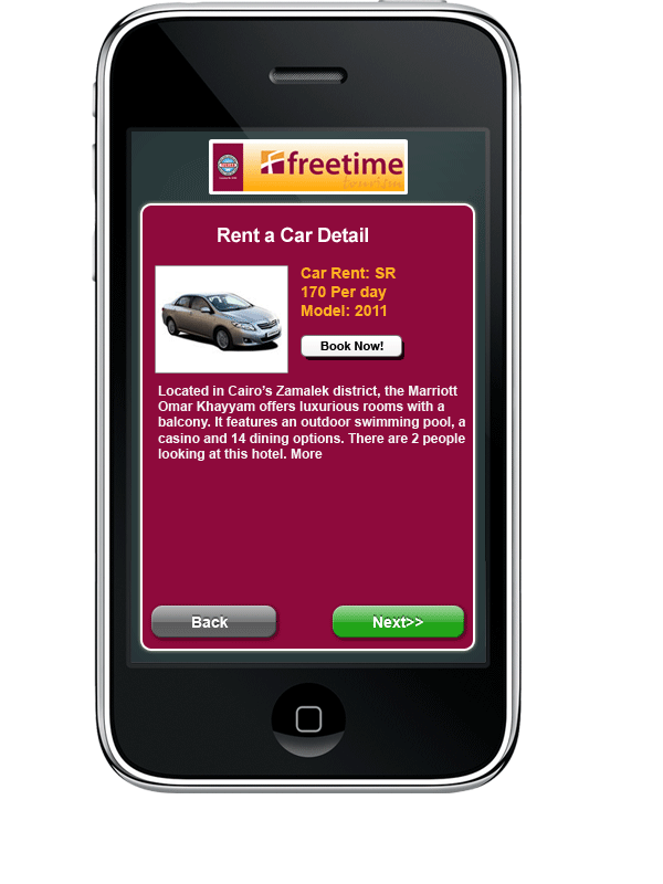 Rent car details