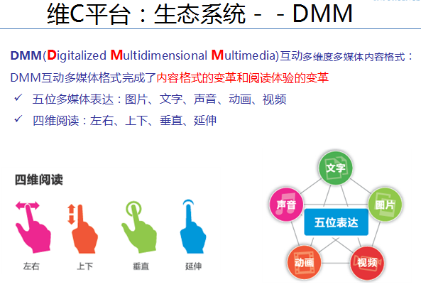 维c平台：生态系统－－dmm