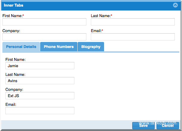 Extjs form