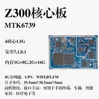 Z300 5