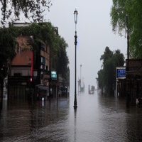 那天雨很大，你没看见我，我没看见雨，电影灯光